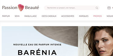 Interface e-commerce moderne