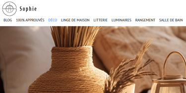 Interface e-commerce moderne